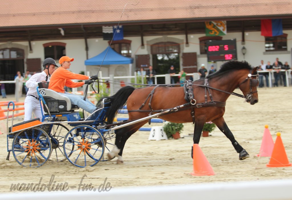 Lingo MandolineFM Unsere FreibergerSeite